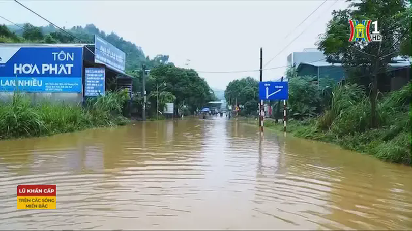 Cánh đồng Quang Kim ngập sâu trong nước lũ