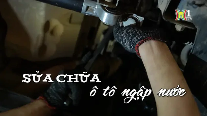 Sửa chữa ô tô ngập nước | Nhịp sống Hà Nội | 20/09/2024