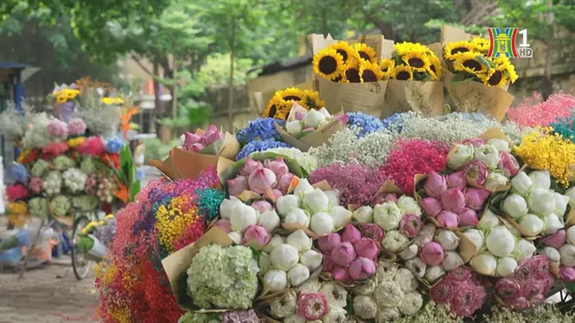Những chiếc xe hoa chở mùa thu Hà Nội