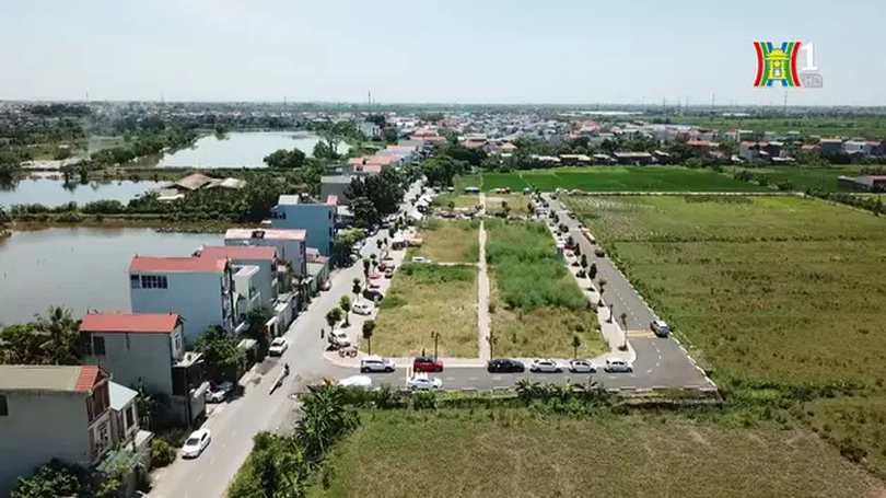 Đấu giá đất có dấu hiệu tiêu cực, thao túng thị trường