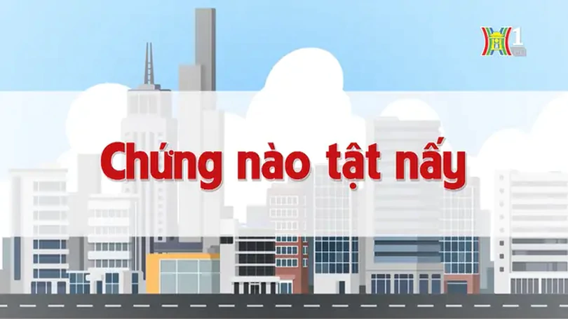 Chứng nào tật nấy | Chuyện quanh ta | 23/10/2024