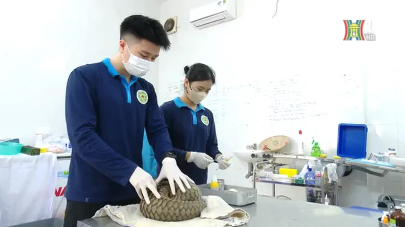 Phòng chống dịch bệnh cho động vật hoang dã | Phóng sự chuyên đề | 27/10/2024