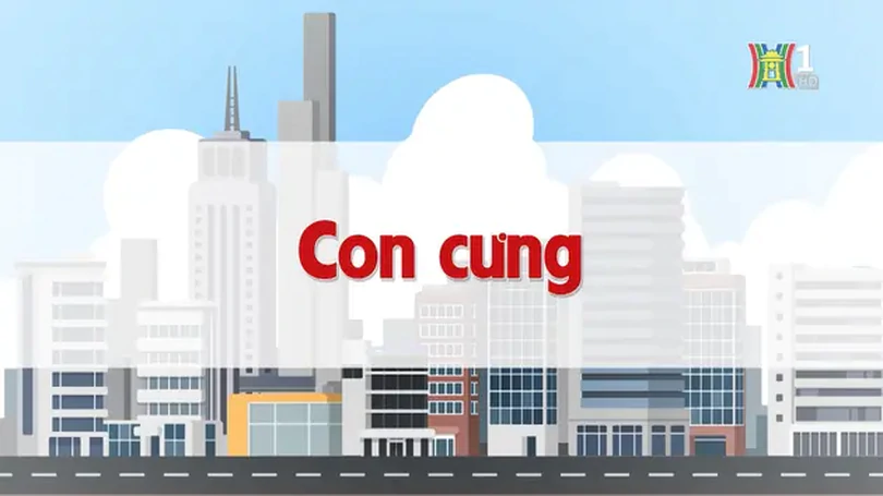 Con cưng | Chuyện quanh ta | 07/11/2024