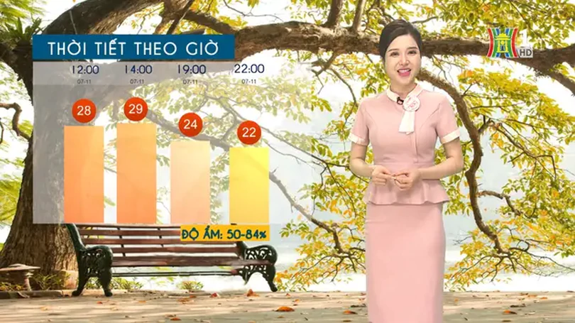 Dự báo thời tiết trưa | 07/11/2024