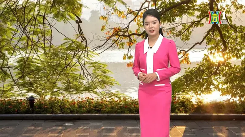 Dự báo thời tiết trưa | 08/11/2024