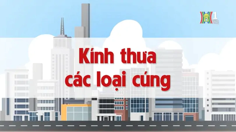 Kính thưa các loại cúng | Chuyện quanh ta | 11/11/2024