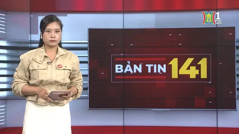 Bản tin 141 | 11/11/2024