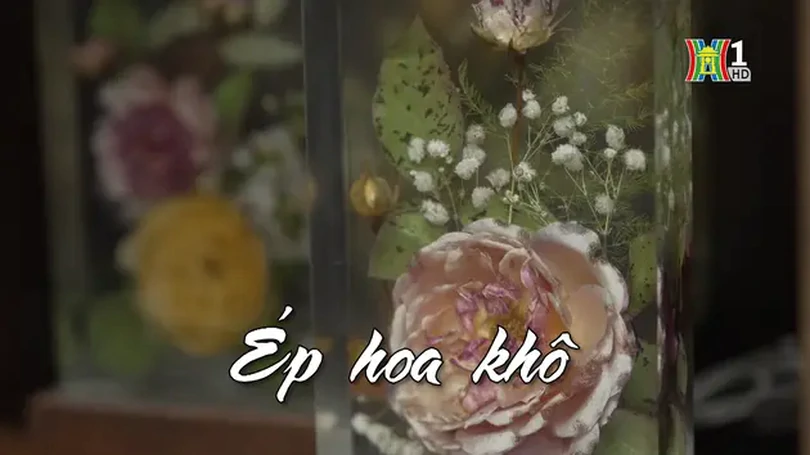 Ép hoa khô | Nhịp sống Hà Nội | 21/11/2024
