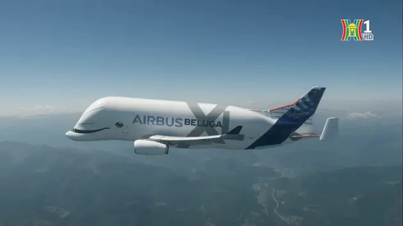 Siêu máy bay vận tải Airbus Beluga lần đầu đến Việt Nam