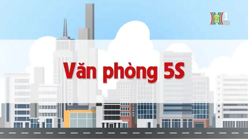Văn phòng 5S | Chuyện quanh ta | 24/11/2024