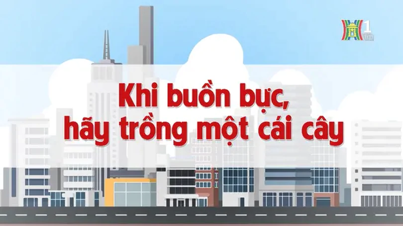 Khi buồn bực, hãy trồng một cái cây | Chuyện quanh ta | 29/11/2024