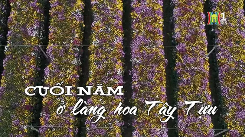Cuối năm ở làng hoa Tây Tựu | Nhịp sống Hà Nội | 02/12/2024