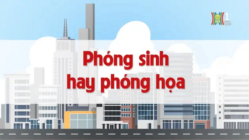 Phóng sinh hay phóng họa | Chuyện quanh ta | 09/12/2024