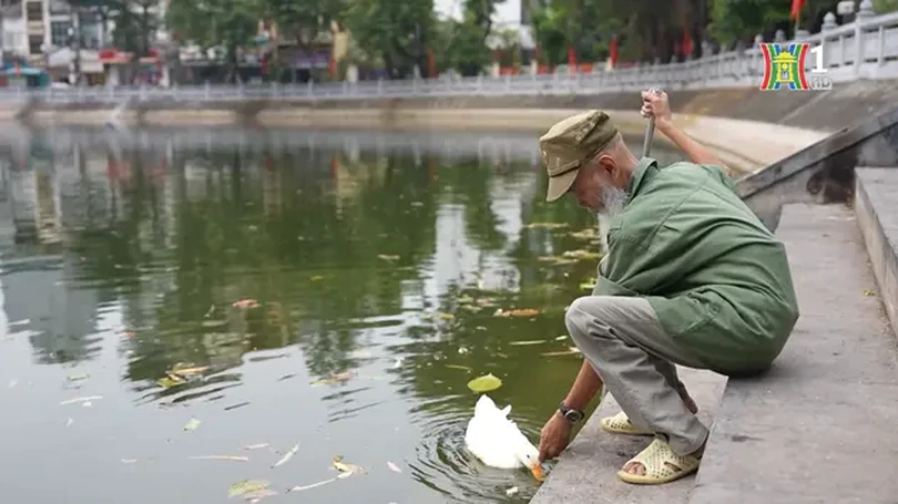 Giá trị của bình yên