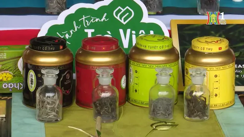 Thị trường nông sản Tết | Phát triển Nông nghiệp Nông thôn | 21/12/2024
