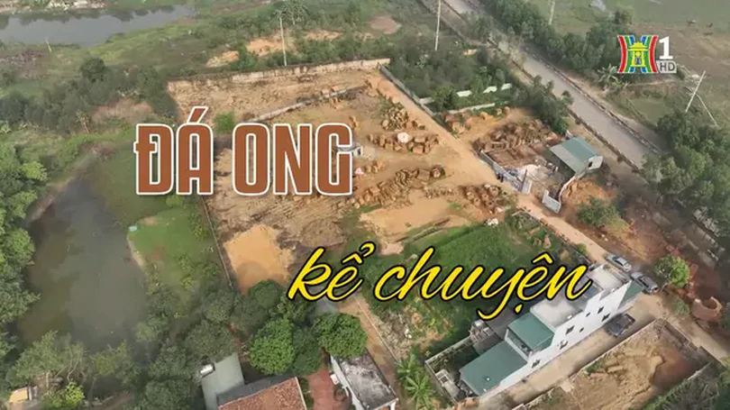 Đá ong kể chuyện | Người Hà Nội | 22/12/2024