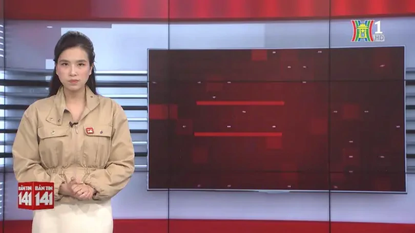 Bản tin 141 | 11/01/2025