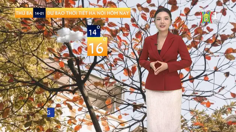Dự báo thời tiết trưa | 14/01/2025