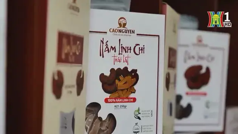 Ngành thực phẩm dẫn đầu kiến nghị giảm lãi suất vay