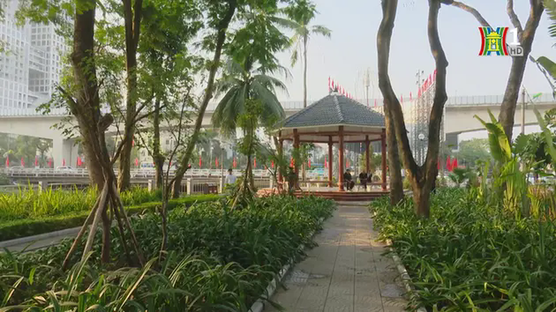 Quỹ đất công bỏ hoang dần trở thành không gian xanh