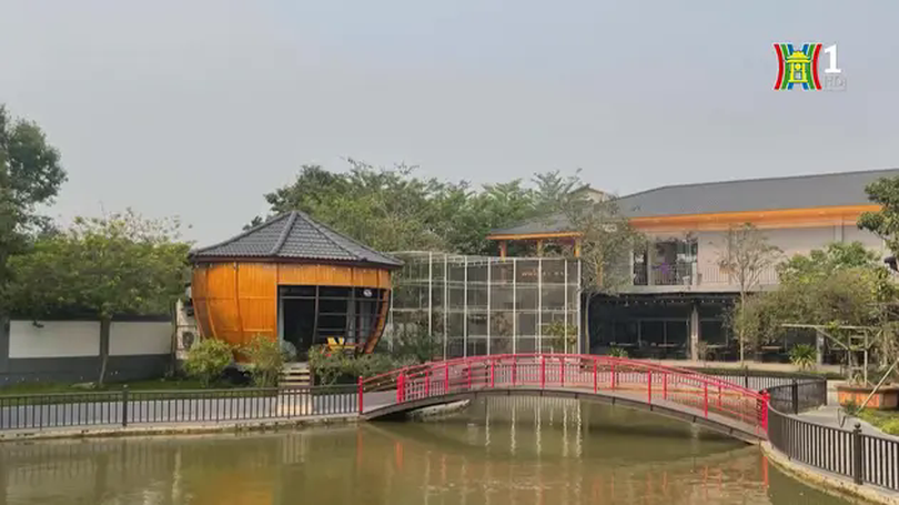 Homestay không còn sức hút nhà đầu tư