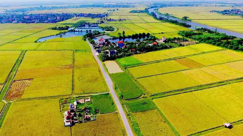 Đất 50 năm chuyển sang đất thổ cư như thế nào?