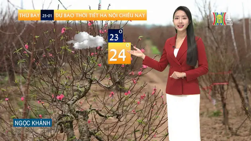 Dự báo thời tiết chiều | 25/01/2025