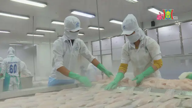 37 mặt hàng đạt kim ngạch xuất khẩu trên 1 tỷ USD