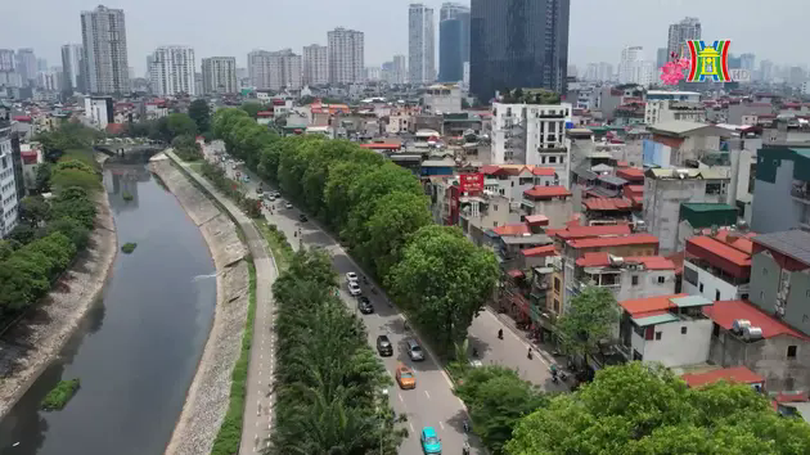 Cây xanh hồi sinh trong xuân mới | Phóng sự tài liệu | 31/01/2025