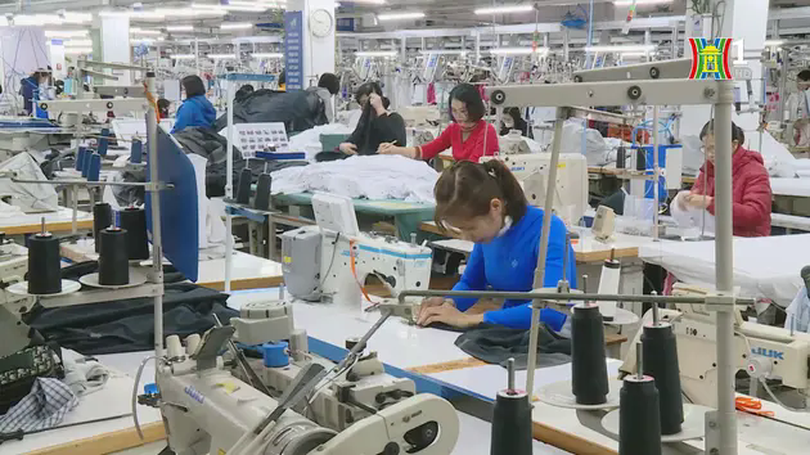 Quyết tâm sản xuất 'đầu xuôi, đuôi lọt' đầu năm mới