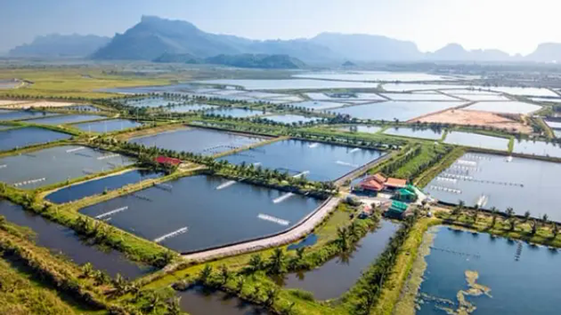 Đề xuất miễn, giảm tiền thuê đất cho dự án nông nghiệp