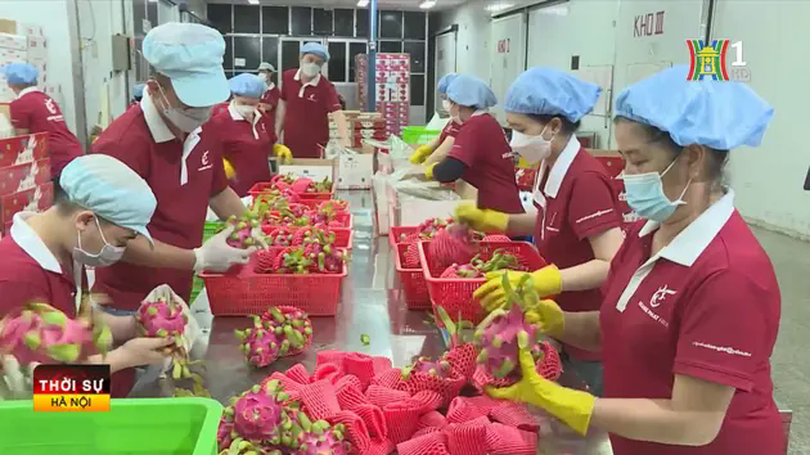 Trình Quốc hội điều chỉnh mục tiêu GDP năm 2025 lên 8%