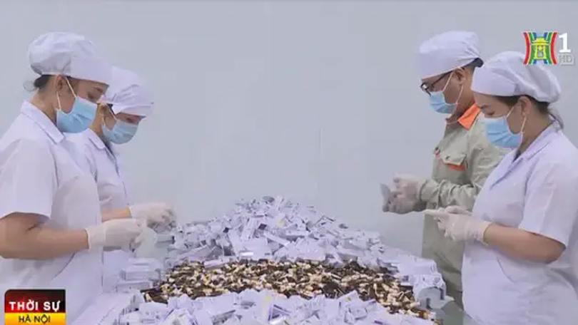 Doanh nghiệp TP.HCM tất bật lo đơn hàng đầu năm