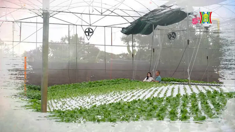 Những mô hình nông nghiệp giá trị cao ở Hà Nội | Nông nghiệp Nông thôn | 02/02/2025