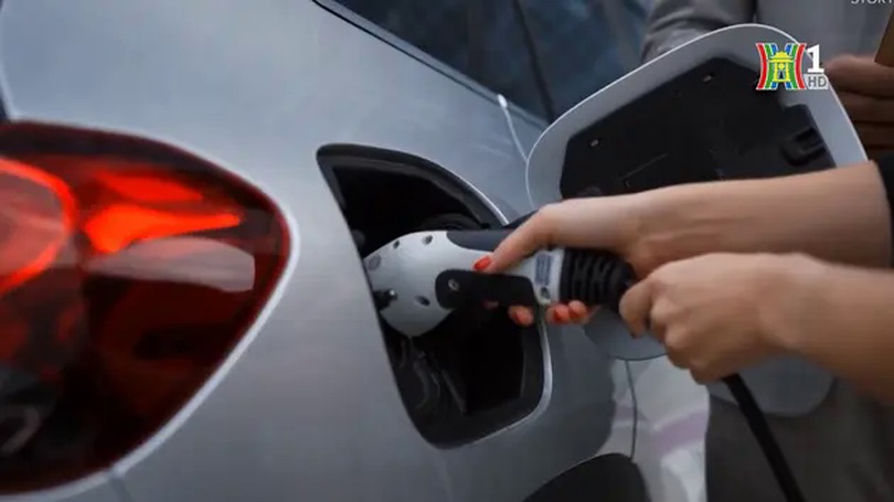 4 hãng phải gọi sửa chữa xe do nguy cơ cháy pin