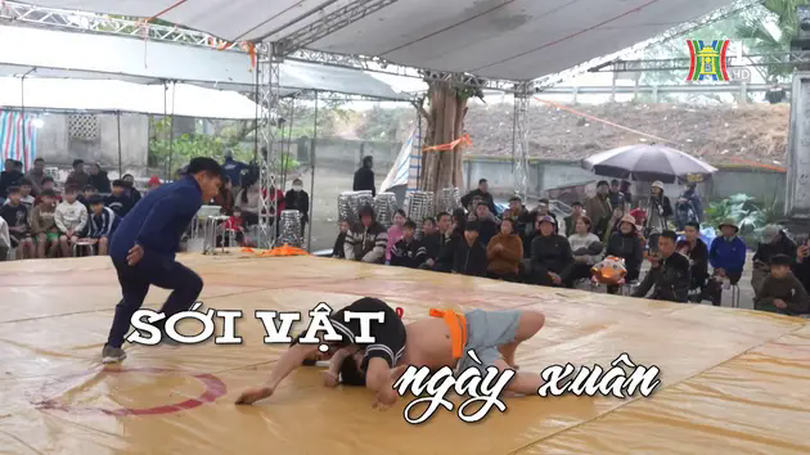 Sới vật ngày xuân | Nhịp sống Hà Nội | 11/02/2025