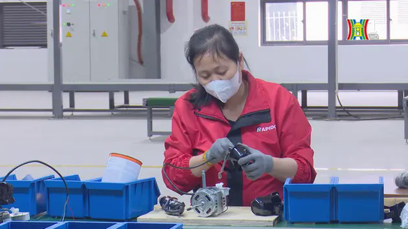 Doanh nghiệp trở lại hoạt động cao kỷ lục trong tháng 1/2025