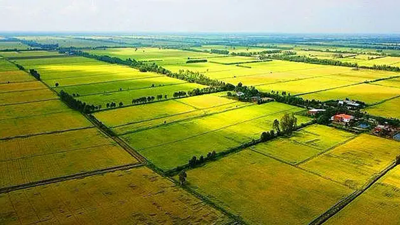 Hà Nội quy định mức nộp tiền khi chuyển đổi đất