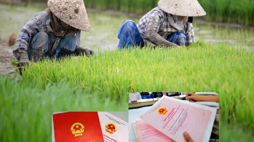 Mức nộp tiền chuyển đổi đất trồng lúa sang phi nông nghiệp