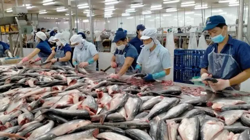 Xuất khẩu thủy sản vượt mốc 774 triệu USD