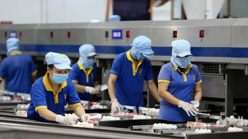 Doanh nghiệp ứng phó bài toán thiếu lao động sau Tết