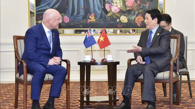 Thủ tướng New Zealand hội kiến Chủ tịch nước Lương Cường