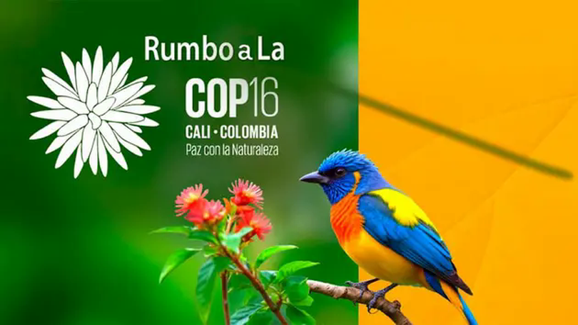 COP16 đạt thỏa thuận 200 tỷ USD để bảo tồn thiên nhiên