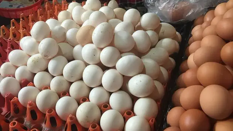 Giá trứng gà thấp kỷ lục, người mua vẫn thờ ơ