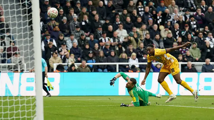 Brighton giành quyền vào tứ kết FA Cup