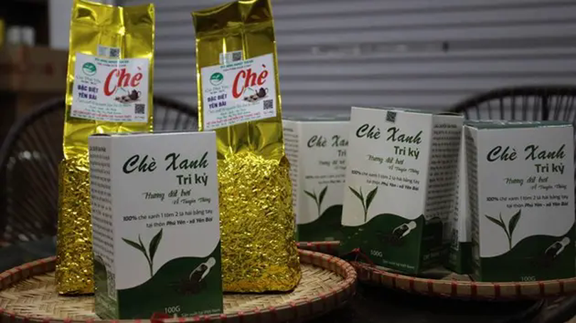 Thăng trầm với nghề làm chè sạch | Con đường doanh nhân | 02/03/2025