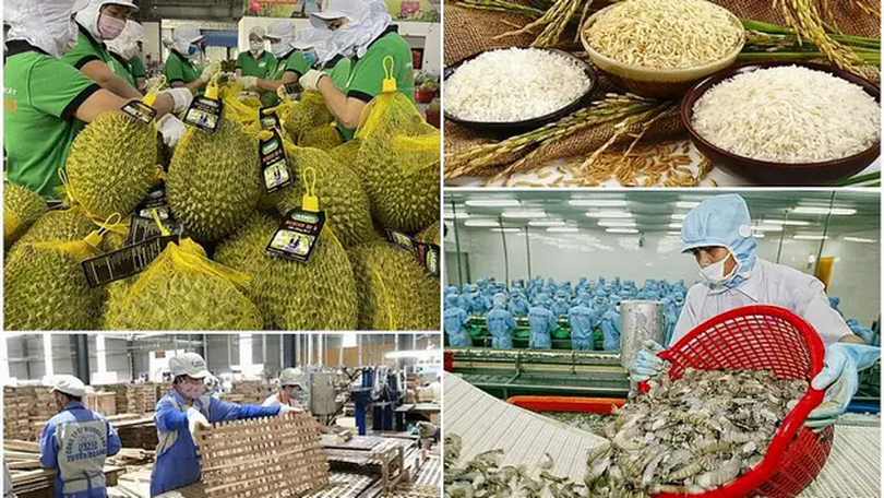 Xuất khẩu nông lâm thủy sản đạt hơn 9 tỷ USD