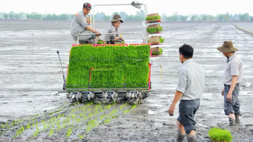 Để tăng tỷ lệ cơ giới ở khâu gieo cấy | Vấn đề kinh tế | 04/03/2025