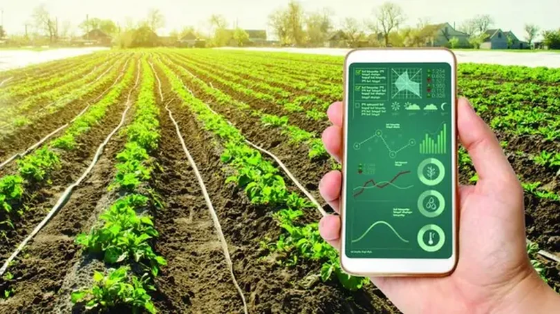 Tiềm năng nông trại điện tử của Hà Nội