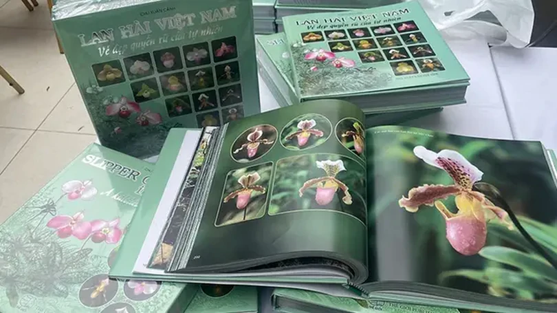 Bảo tồn lan hài Việt Nam qua những trang sách